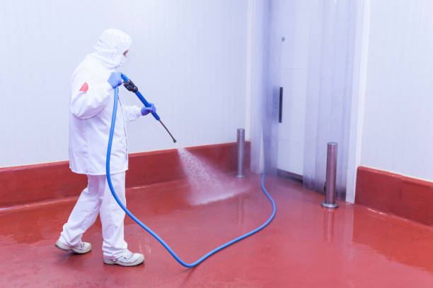 Best Spring Cleaning  in Bayview, CA